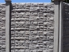 DSC00921